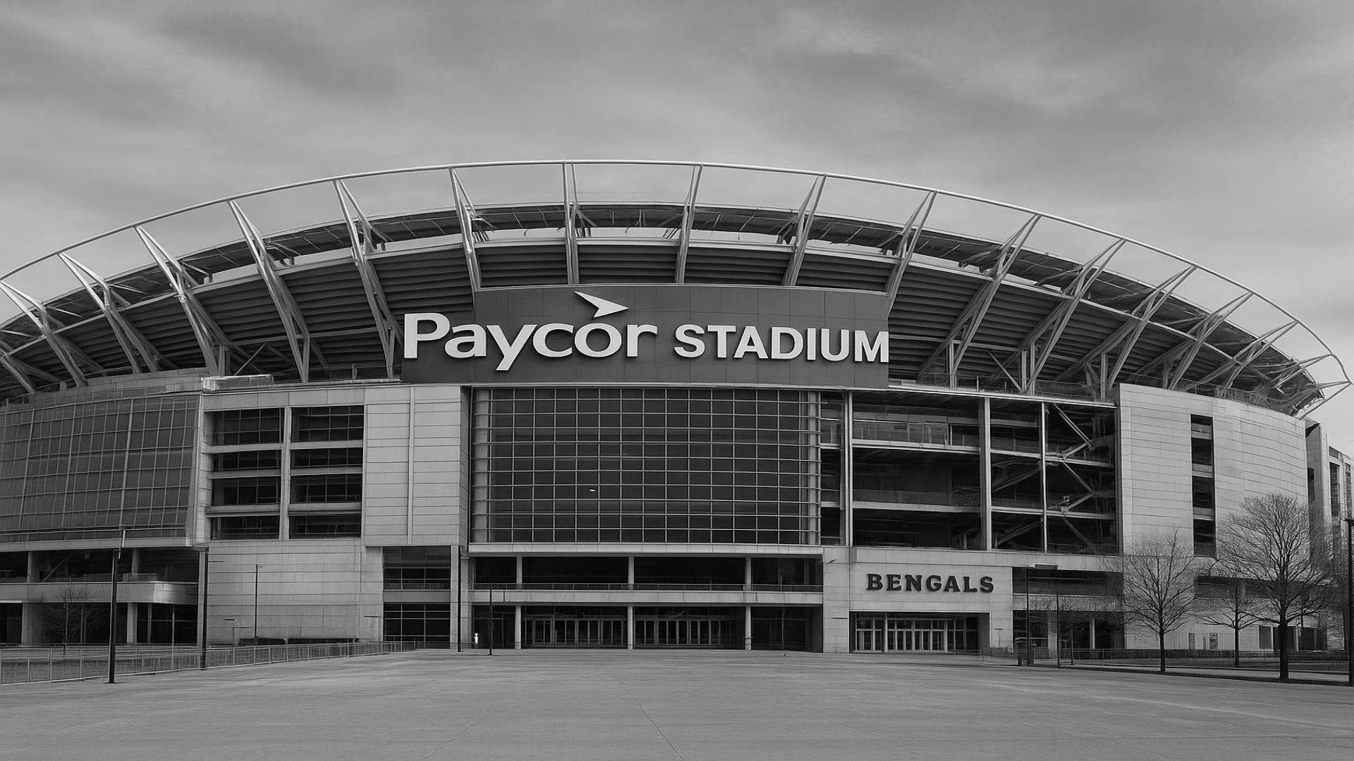 Precisamos Conversar Sobre o Cincinnati Bengals
